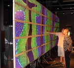 TileViewer in use on HIPerWall