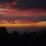 IMGP0605