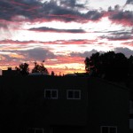 IMG_0001