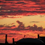 IMG_0002