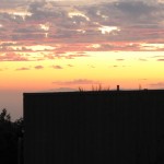 IMG_0008