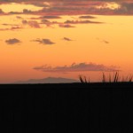 IMG_0009