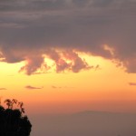 IMG_0011
