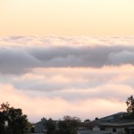 IMG_0013
