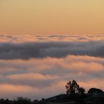 IMG_0014