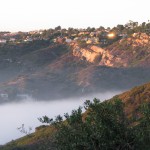 IMG_0015