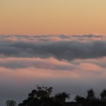 IMG_0018
