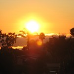IMG_0019