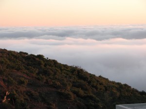 IMG_0020