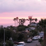 IMG_0044