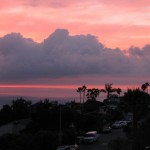 IMG_0045