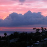IMG_0046