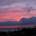 IMG_0048