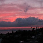 IMG_0049