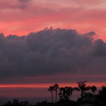 IMG_0050