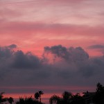 IMG_0051