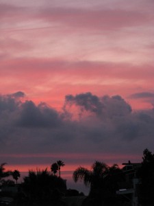 IMG_0051