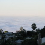 IMG_0054