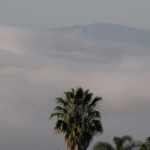 IMG_0008