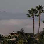 IMG_0010