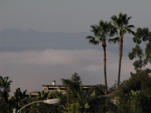IMG_0010